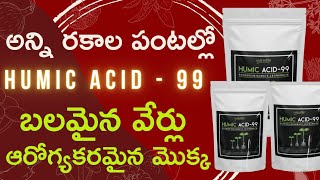 Humic acid Fertilizer For Plants  పంటలలోహ్యుమిక్ యాసిడ్ ఉపయోగాలు Humicacid Fertilizer in Telugu [upl. by Enwahs207]