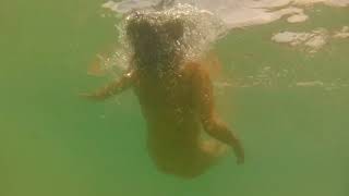 Beautiful woman swimming under the sea in Puerto Vallarta [upl. by Ahseyt]