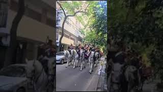 Granaderos a caballo cantando marcha San Lorenzo [upl. by Eelasor919]