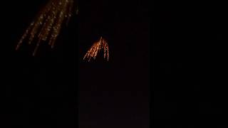 Waterfall Firework Display Shell fireworks displayshells fireworksshow fyp [upl. by Eynaffit]