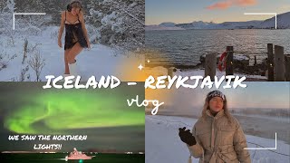 ICELAND VLOG  WE SAW THE NORTHERN LIGHTS  Travel vlog 2022 [upl. by Castora]