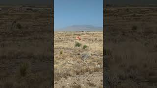 DOES IT GET WINDY IN CARRIZOZO NEW MEXICO [upl. by Enyal]