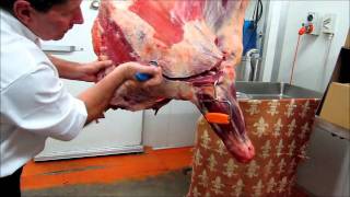 Part 1  How to bone a Forequarter of beef demonstration by Master Butcher Michael Cross [upl. by Anirdnajela182]