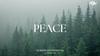 PEACE  Soaking worship instrumental  Prayer and Devotional [upl. by Ahsiken662]