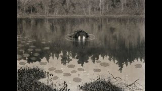 Theodor Kittelsen [upl. by Eihtur]