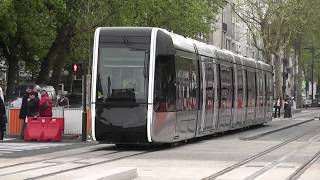 Zapping bus tram trolleybus [upl. by Okimik765]