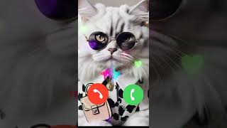 Cute cat Sounds Effect ringtone ♥️♥️ Call Sound Effect shorts call ringtone [upl. by Eiboj]