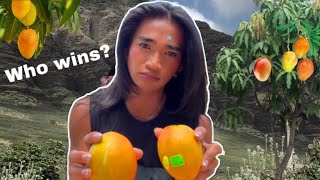 Bretman Rock’s Epic Mango Battle 10 Mango vs Auntie’s Fresh Mango [upl. by Aynotan853]