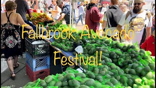 Fallbrook Avocado Festival [upl. by Frasch956]