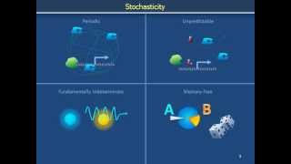 Stochasticity [upl. by Llertnad]