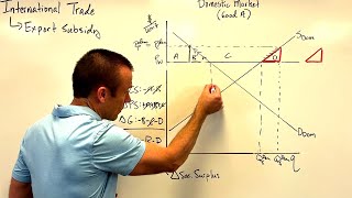 International Trade Export Subsidies [upl. by Dessma]