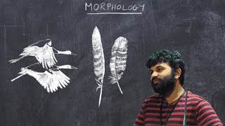 Basic Ornithology Morphology Feathers Plumage and Flight [upl. by Nohsreg]