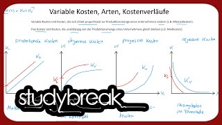 Variable Kosten Arten Kostenverläufe  Kosten und Leistungsrechnung [upl. by Connelly66]