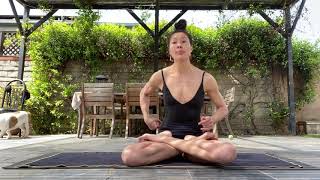 Garbha Pindasana and Kukkutasana ASHTANGA YOGA🙏Embryo in Womb Pose and Rooster Pose [upl. by Aneela307]