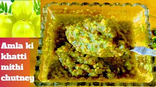 Amla ki khatti mithi chutney amla recipe  gooseberry recipe  Amlaki r chutney chutney recipe [upl. by Balac]