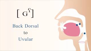 ɢˁ  voiced unaspirated pharyngealized dorsal uvular stop [upl. by Nylyram993]