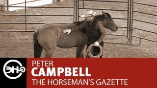 Halter Breaking Part 2 with Peter Campbell [upl. by Lovett]