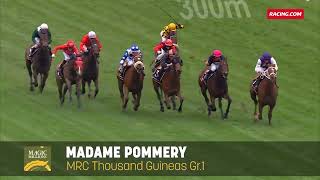 Lot 487  Madame Pommery  Magic Millions National Broodmare Sale [upl. by Hnilym]