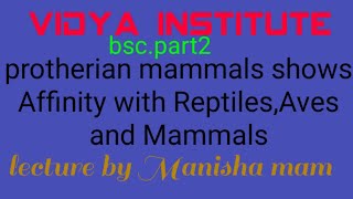 Affinity of PROTOTHERIA By Manisha mam [upl. by Ahsitruc]