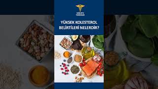 YÜKSEK KOLESTEROL BELİRTİLERİ NELERDİR [upl. by Saudra]