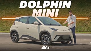 BYD Dolphin Mini Seagull ⭐️  ¿Tan maravilloso como aparenta  Reseña [upl. by Iand]