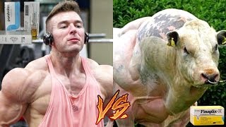 Trenbolone Dosage For Cattle Vs Humans  WE ARENT COWS [upl. by Demodena]