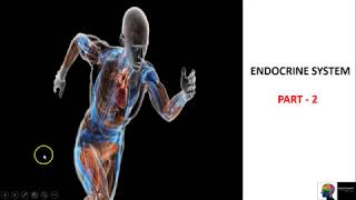 Endocrine System  ICSE Class 10th BiologyPart 2 [upl. by Eppes]