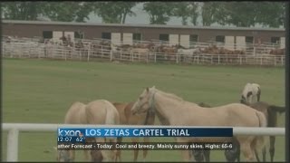 Los Zetas cartel trial [upl. by Kcirderfla]