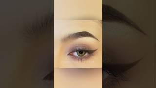 Step by step eye makeup tutorial for beginners eye eyemakeup yt [upl. by Eenar]