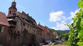 Alsace  Riquewihr perle du vignoble alsacien [upl. by Lucretia268]