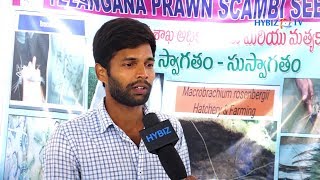 Macrobrachium rosenbergii Hatchery and Farming  Venkat Telangana Prawn Scampi Seed Association [upl. by Nivart]