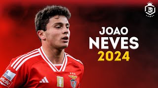 Joao Neves 2024  Magic Skills amp Goals  HD [upl. by Seaden962]