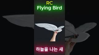 RC Flying Bird  하늘을 나는 새  Ornithopter shorts Ornithopter FlappingWing ServoFlapping bird [upl. by Verney]