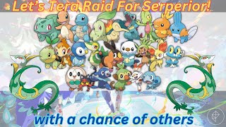 Lets do this Serperior will be mine [upl. by Rogerio]