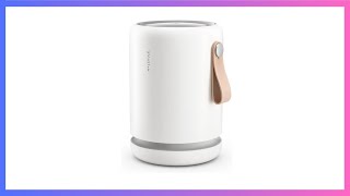 Molekule Air Mini Air Purifier Review [upl. by Oigolue]