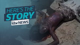 The mermaid sighting video thats dividing opinion on TikTok  ITV News [upl. by Neyuq]