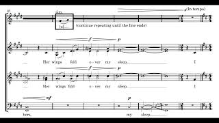 Owl Secrets SATB div from Zoo Nocturnes  Chronos Vocal Ensemble [upl. by Kirstyn]