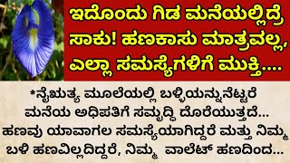 ಇದೊಂದು ಗಿಡ ಮನೆಯಲ್ಲಿದ್ರೆ ಸಾಕುಹಣಕಾಸು ಮಾತ್ರವಲ್ಲ ಎಲ್ಲಾ ಸಮಸ್ಯೆಗಳಿಗೆ ಮುಕ್ತಿShanka Pushpa Benefits [upl. by Catherin]