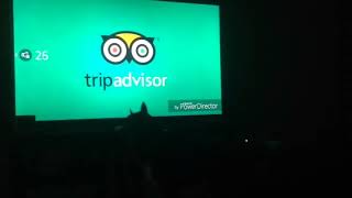 Dog going cray Cray over TripAdvisor and XYZAL commercial [upl. by Siroved]