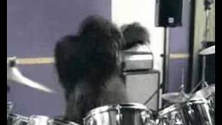 Cadbury Gorilla Advert The Fray Remix Spoof [upl. by Akialam951]