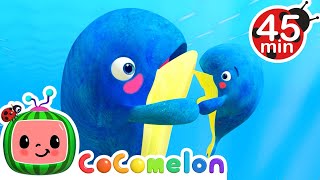 Whale of a Time Nursery Rhyme  CoComelon Animal Time  Learning with Animals  Songs for Kids [upl. by Acinnej]