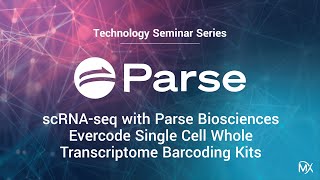 TSS scRNAseq with Parse Biosciences Evercode Single Cell Whole Transcriptome Barcoding Kits [upl. by Yrrad]