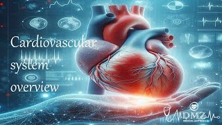 Cardiovascular System Definition Anatomy and key points explained [upl. by Nnylrebma]