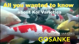 Koi Variety Encyclopedia  Part 1 Gosanke A complete Koi guide [upl. by Nnylarac]