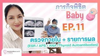 ภารกิจพิชิตเบบี๋ EP11 ตรวจภายใน  รายการผล ESR  APS  ANA Thyroid Autoantibodies [upl. by Sink]