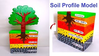 soil profile model 3d making using cardboard  diy  science project  howtofunda [upl. by Nick]