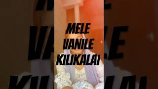 mele vanile kilikalaishortsfeed shortvideo shorts ytviral ytshorts viralshorts2024 coversong [upl. by Lerej747]