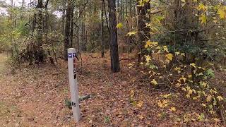 Trap Pond Thursdays Trap Pond State Park Autumn Season Ep 7 [upl. by Galatia295]