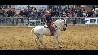 Fieracavalli Verona 2024 padiglione spagnolo [upl. by Reppep452]