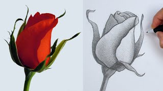 How to Draw FLOWERS using Basic SHAPES [upl. by Eiramanad]